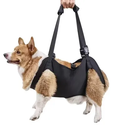 Obrázek produktu pro Pomocný postroj pro psy se zádným popruhem, nastavitelná chodítková pomůcka s bederní oporou a úchyty, podpora pro psy po operaci, 5 až 40 kg