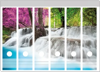 Produktbild von Wallario Ordnerrücken Sticker, selbstklebend für breite Ordner, 6 Stück, Motiv Wasserfall  in  einem  bunt  gefärbten  Wald