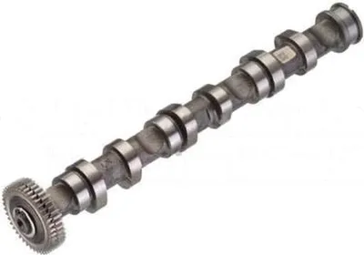 Imagen del producto de Árbol de levas para cilindros 4-6, marca KOLBENSCHMIDT, compatible con, entre otros, el AUDI A6