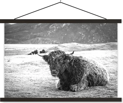 Produktbild von MuchoWow® Textilposter Schottisches Hochlandrind - Berg - Tiere 90x60 cm mit schwarzem Rahmen - Aufhängungssatz