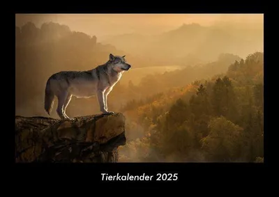 Produktbild von Tierkalender 2025 Fotokalender DIN A3