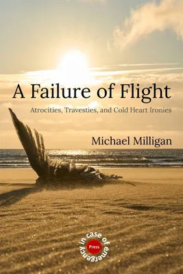 Produktbild von A Failure of Flight