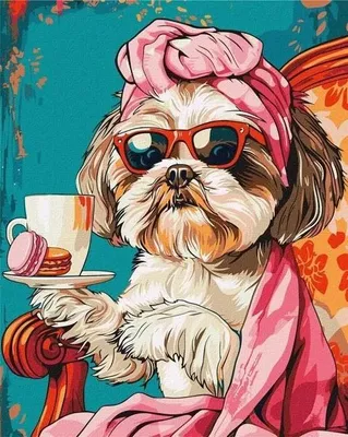 Produktbild von Malen nach Zahlen – Verspielter Shih Tzu, 40 x 50 cm – Ideyka