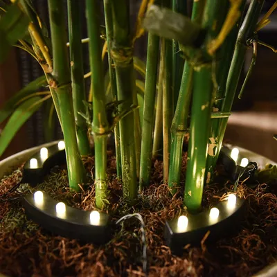 Produktbild von Hilight 507462 Solar-Blumentopf-Leuchte 'Hilight' für Außenbereich, LED, warmweiß