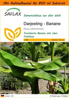 Produktbild von SAFLAX - Garden in the Bag - Darjeeling - Banane - 5 Samen - Mit Anzuchtsubstrat im praktischen, selbst aufstellenden Beutel - Musa sikkimensis
