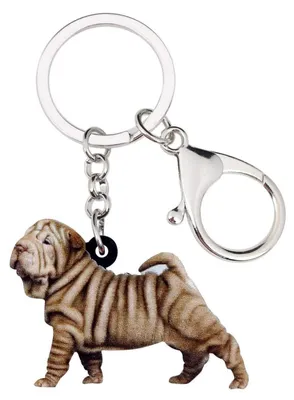 Image de Porte-clés en acrylique, motif Shar Pei, couleur marron, dimensions 34x50 mm