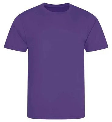 Image de Just Cool - T-shirt pour hommes/femmes unie, lisse LT4553 (XXL) (violet)