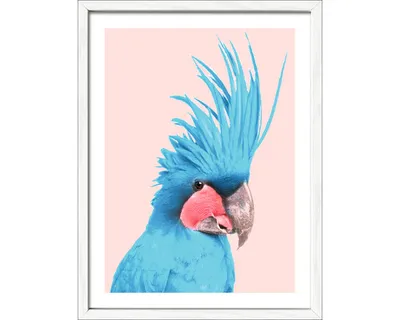 Produktbild von Gerahmtes Bild Blue cockatoo 33x43 cm