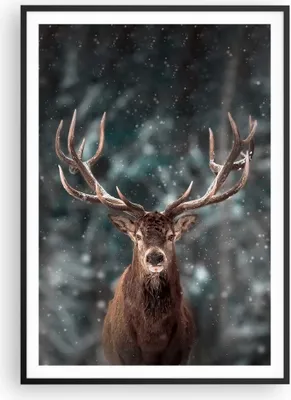 Produktbild von Gerahmtes Poster - Schwarzer Rahmen - Hirsch Hirsch Winter - 70x100 cm - Wand Bild - Wanddeko - Wandbilder - Kunstposter - Wandposter - Bilderrahmen - Bilder - Kunstdruck - P2BPA70x100-4998