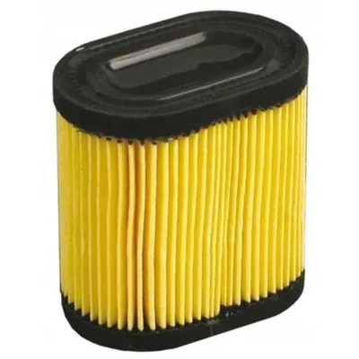 Image de Filtre à air Tecumseh 5,5 CV Craftsman(36905)