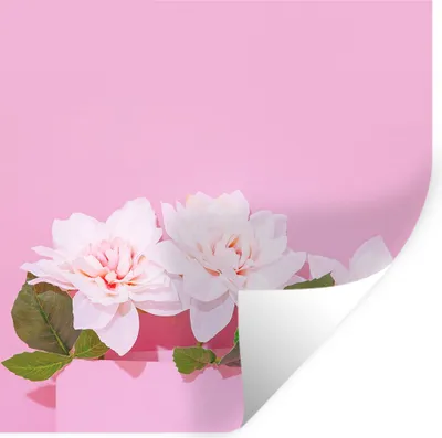 Produktbild von MuchoWow® Wandtattoo Wandsticker Wandaufkleber Blüte - Sommer - Rosa 30x30 cm Selbstklebend und Repositionierbar - Repositionierbar - Wasser abweisend