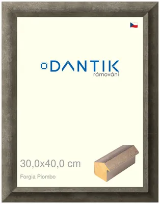 Zdjęcie produktu dla Ramka DANTIK 30x40 | Forgia Piombo (Plexi Clear)