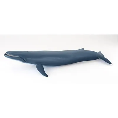 Image de Papo Wild Life Baleine bleue 56037