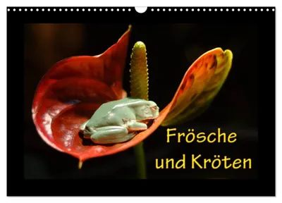 Produktbild von Frösche und Kröten (Wandkalender 2027 DIN A3 quer), CALVENDO Monatskalender