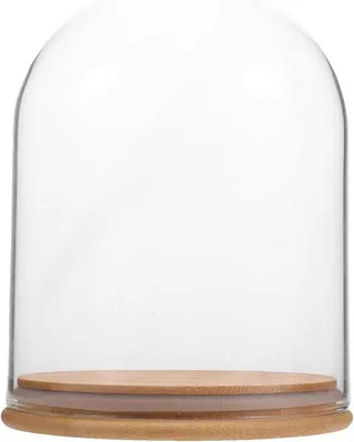 Productafbeelding van Glazen Stolp - Plantenkoepel Vitrine - Decoratie Presenteren - Met Standaard - 17.8x15x15 cm - Transparant