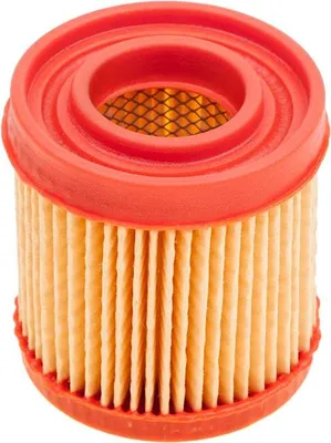 Zdjęcie produktu dla Filtr powietrza Tecumseh 7-102