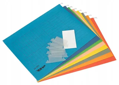 Zdjęcie produktu dla SEGREGATOR NA DOKUMENTY | ZESTAW 8 SZTUK | A4| KOLOROWE| 31,4 x 24 cm