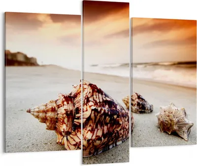Produktbild von Bild auf Leinwand - Leinwandbild - Strand schön karibisch bunt - 95x80cm - Wand Bild - Wanddeko - Leinwanddruck - Bilder - Kunstdruck - Wanddekoration - Leinwand bilder - Wandkunst - CB95x80-2123