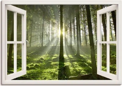 Produktbild von ARTland Leinwandbild Fensterblick - Wald im Gegenlicht, weiß Größe: 100x70 cm