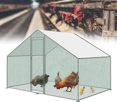 Produktbild von ACXIN Hühnerstall 3 x 2 x 2m Freilaufgehege Hühnerstall Tür mit Schloss Hühnerhaus Verzinkter Stahlrahmen Beschichtetes PE-Schattendach für Hühnerkäfig