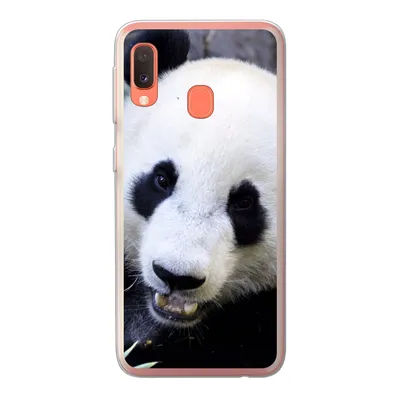 Produktbild von MuchoWow® Handyhülle Schutzhülle Hülle für Samsung Galaxy A20e Panda - Tier - Blätter Silikon Softcase Handy Hülle - Abdeckung