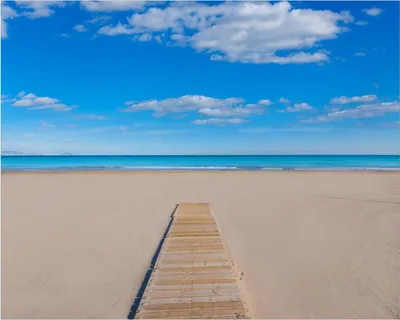 Produktbild von Wallario Poster - Auf dem Holzweg zum blauen Meer, Kunstdruck Größe: 40 x 50 cm