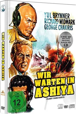 Produktbild von Wir warten in Ashiya