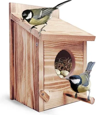 Produktbild von Famanu Vogelhaus Holz - Rotkehlchen, wetterbeständig, 15 x 15 x 22 cm