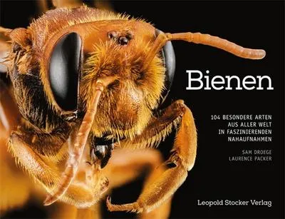 Produktbild von Bienen