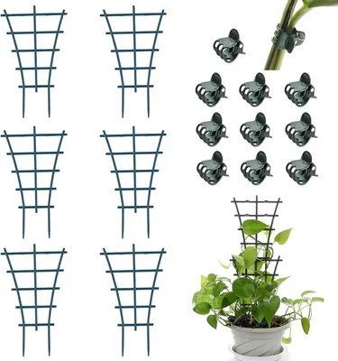 Immagine prodotto di 6 supporti da giardino + 10 clip Supporto per piante rampicanti