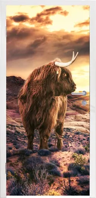 Produktbild von MuchoWow® Türtapete Selbstklebende Türfolie Schottische Highlander - Horizont - Landschaft 90x215 cm Türposter Türaufkleber Klebefolie Türklebefolie - Plakat an der Tür - Türsticker - Aufklebern