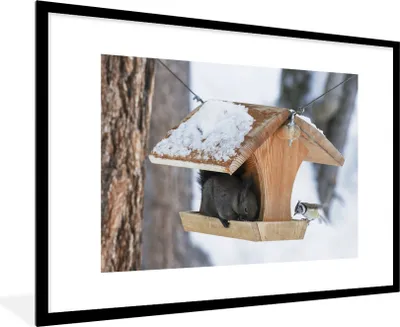 Produktbild von MuchoWow® MuchoWow® Gerahmtes Poster Eichhörnchen - Vogelhaus - Schnee 90x60 cm - Poster mit zchwarzem Bilderrahmen - Wanddekoration - Fotos