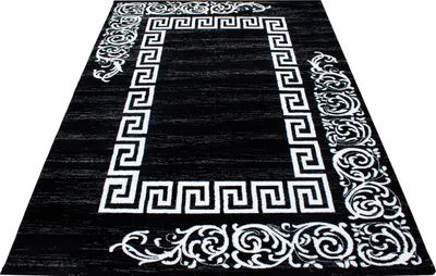 Image de Teppium Tapis 200x290 cm, Design Moderne Méandre Noir Blanc, Facile d’Entretien, Idéal pour Grands Salons ou Espaces Ouverts
