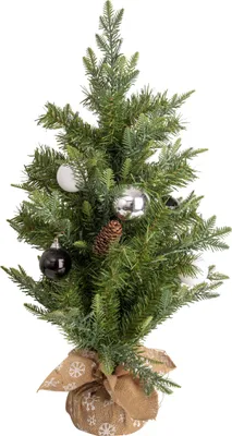 Produktbild von Näve Leuchten LED-Weihnachtsbaum - h: 70cm LED-Weihnachtsbaum - h: 70cm LED-Weihnachtsbaum - h: 70cm