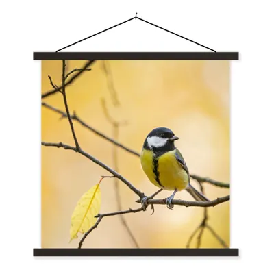 Produktbild von MuchoWow® Textilposter Kohlmeise - Zweig - Vogel - Tiere 40x40 cm mit schwarzem Rahmen - Fotos