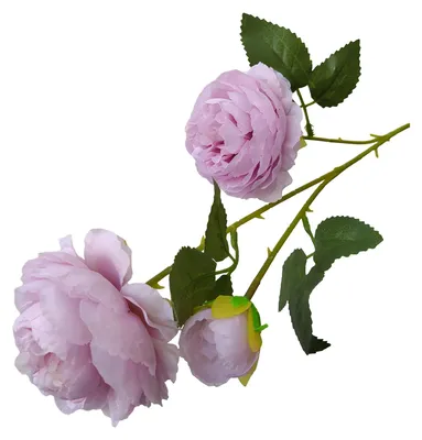 Produktbild von 26 Zoll große künstliche Pfingstrosen mit langen Stielen, Arrangement aus Kunstseide mit 2 voll erblühten Köpfen und 1 Knospe, ideal als Tischdekoration für Hochzeiten, Partys oder als Heimdekoration.