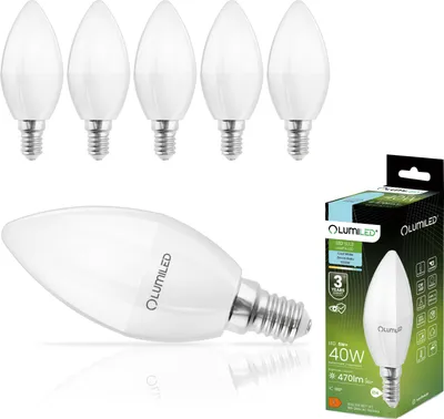 A product shot of LED light bulbs and their packaging.