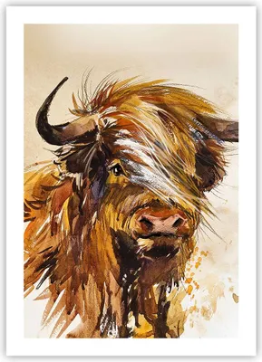 Produktbild von Poster - Poster ohne Rahmen - Stier Scotch Aquarell - 50x70 cm - Wand Bild - Wanddeko - Wandbilder - Kunstposter - Wandposter - Bilder - Kunstdruck - Wanddekoration - Wandbild - P2XPA50x70-4708