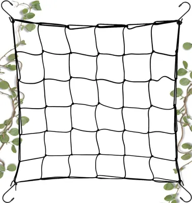 Image de Filet à grimper pour plantes de jardin - soutien et protection
