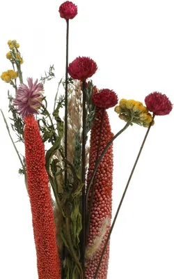 Produktbild von Trockenblumenstrauß DIY Set mit Gräsern und Blumen für edle Tischdeko