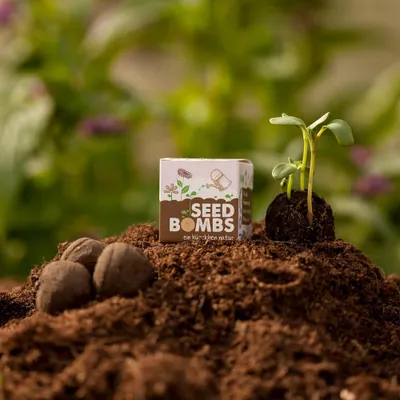 Produktbild von Seedbomb Wildblumen