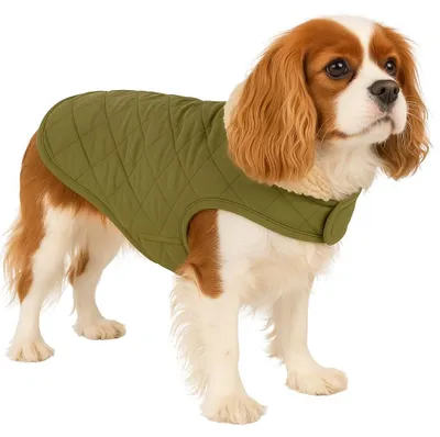 Obrázok produktu pre Kabát plameniaka Bonnie green, dĺžka chrbta: 40 cm