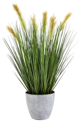 Produktbild von aplanta Künstlicher Fuchsschwanz – Octavine | 56 cm, für drinnen, Kunstpflanze, wie echt, Allergiker geeignet, pflanzliche Dekoration Praxis, Office & Wohnzimmer
