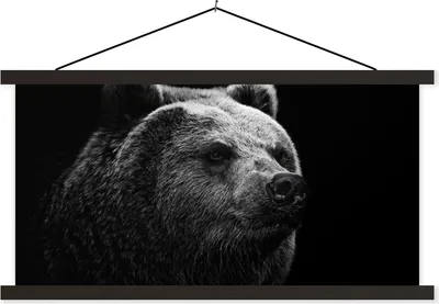 Produktbild von MuchoWow® Textilposter Kamtschatka-Bär auf schwarzem Hintergrund in schwarz und weiß 150x75 cm mit schwarzem Rahmen - Posterleiste