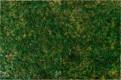 Zdjęcie produktu dla Clayre & Eef Decoration 60x40 cm zielony syntetyczny