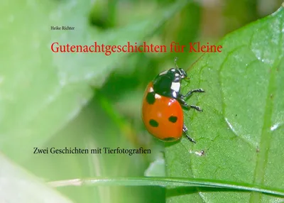 Produktbild von Gutenachtgeschichten für Kleine