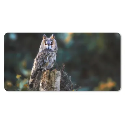 Produktbild von MuchoWow® Schreibtischunterlage Eule - Herbst - Vogel - Äste 80x40 cm - XXL Mauspad - Gaming Mauspad