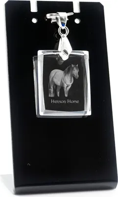Zdjęcie produktu dla Kolekcja "Henson" - Wiszący amulet z motywem konia, naszyjnik z fotografią, wyjątkowa biżuteria od Art-Dog