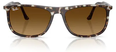Image de Lunettes de soleil Ray-Ban modèle RB 2216, référence 143185