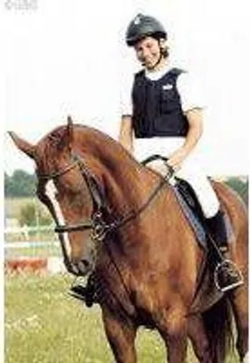 Produktbild von USG STS Ausbildungssystem Ausbinder zum longieren oder reiten mit Zügeln, Ausführung:zum longieren